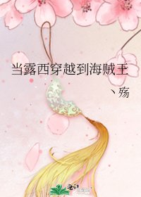 《當露西穿越到海賊王》