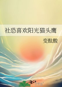(排球少年同人)社恐喜歡陽光貓頭鷹