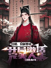 紅樓:穿越賈璉開局啟用完美人生