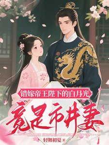 錯嫁帝王陛下的白月光竟是市井妻