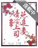 分手後,清冷上司總追妻