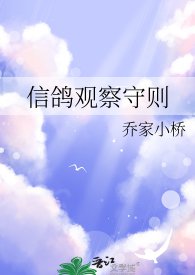 信鴿觀察守則